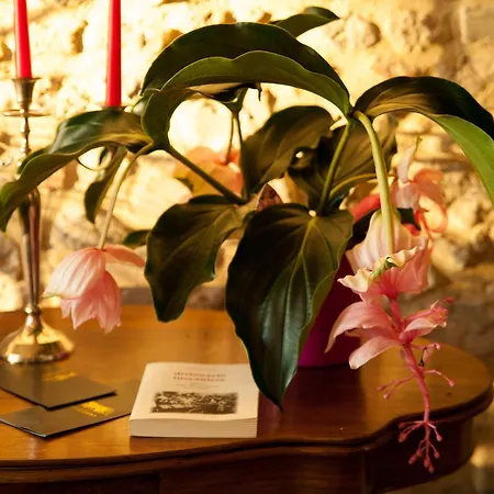 Cordella In Wine Montalcino