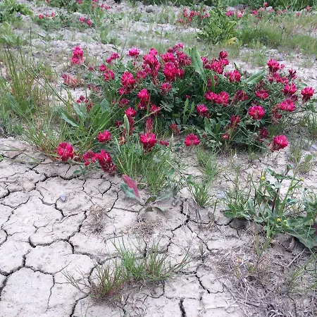 Resort Cordella In Wine