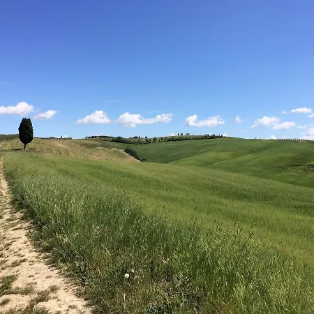Cordella In Wine Montalcino