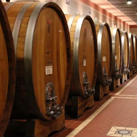 Resort Cordella In Wine *