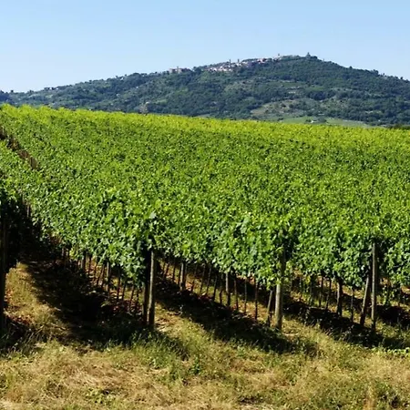 Cordella In Wine Resort