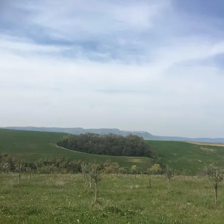 Ośrodek wypoczynkowy Cordella In Wine *